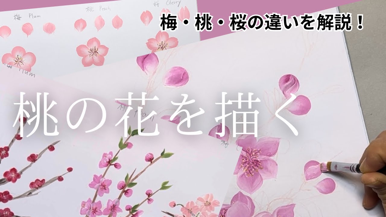 はじめてのトールペイントNo.83桃の花を描く💕梅・桃・桜の見分け方も解説❣️- How to draw Peach, Cherry & Plum blossoms differently ❣️