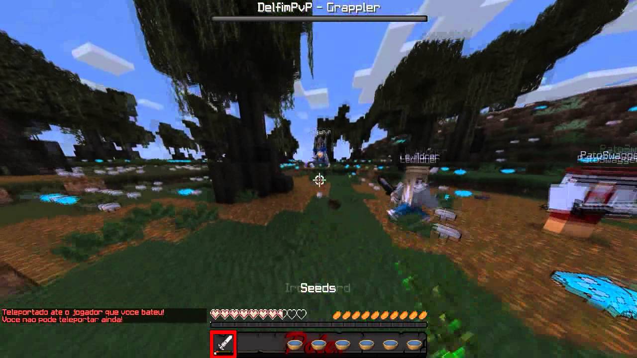 HG - Matando time de 3 @DelfimPvP