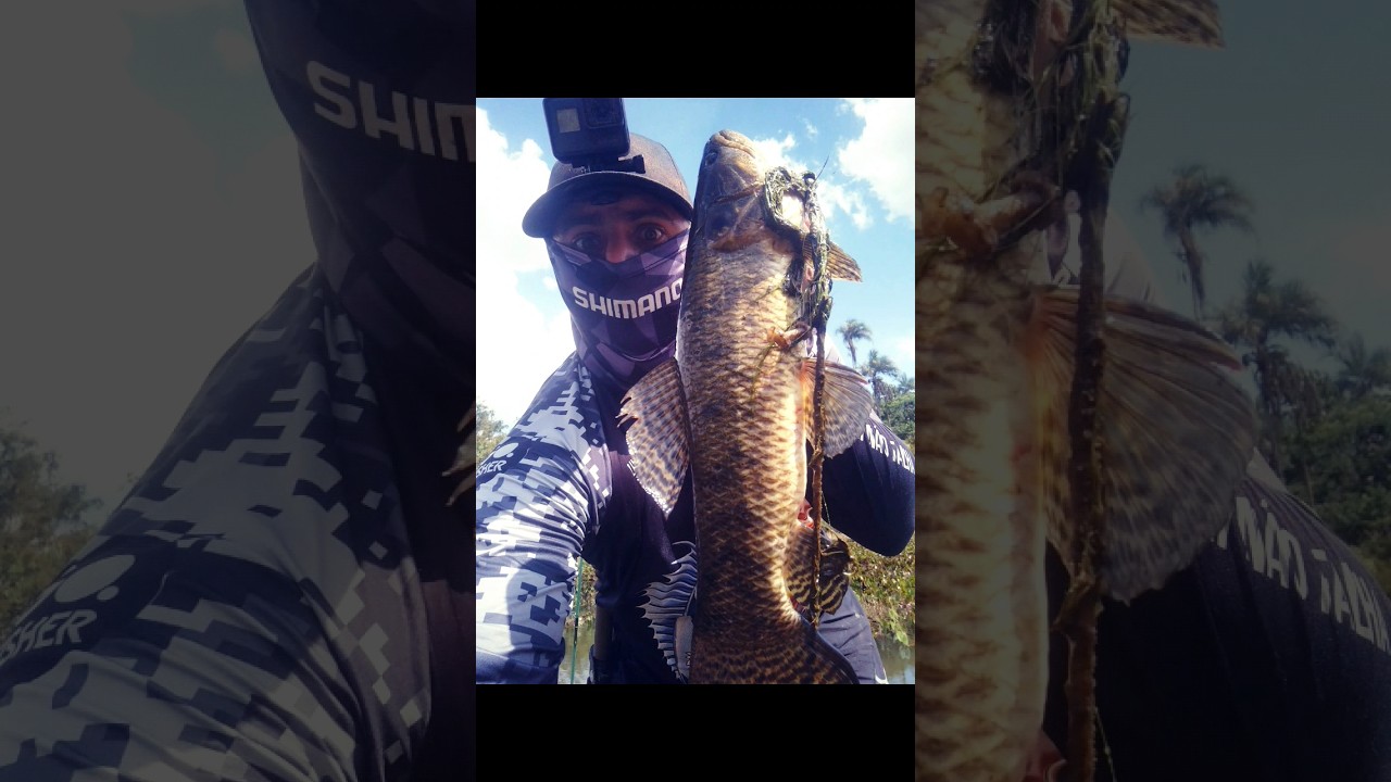 PESCARIA no rio descoberto. MANDI, MU&Ccedil;UM, TURVIR&Atilde;O & TRA&Iacute;RA. #pescaria #fishing #peixe