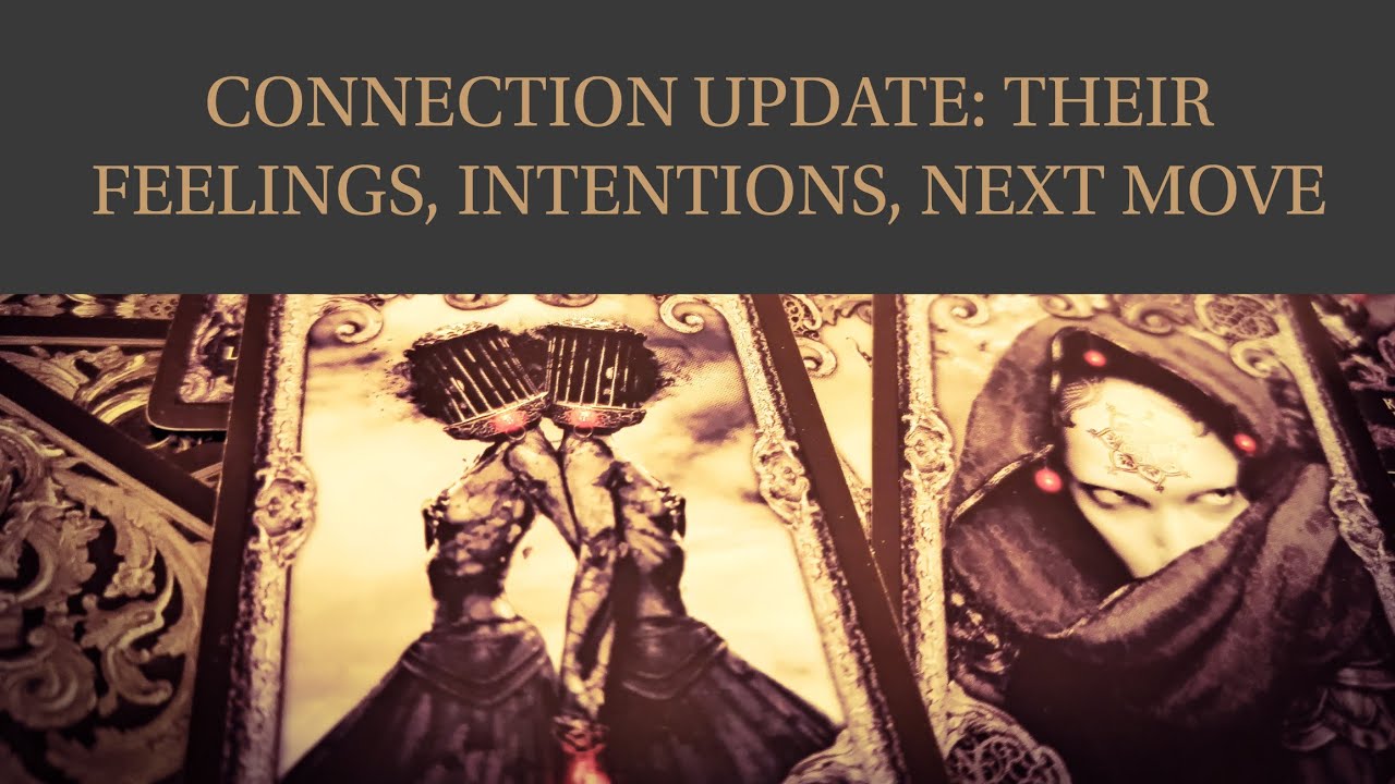 PICK A CARD: CONNECTION UPDATE. FEELINGS, INTENTIONS, NEXT MOVE & OUTCOME\ TIMELESS TAROT READING.