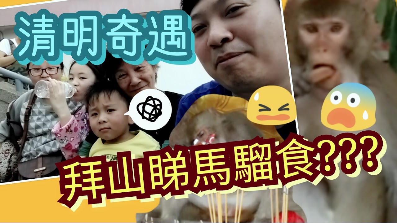 清明奇遇之馬騮拜山食咩野?4月4日清明節寶福山拜山