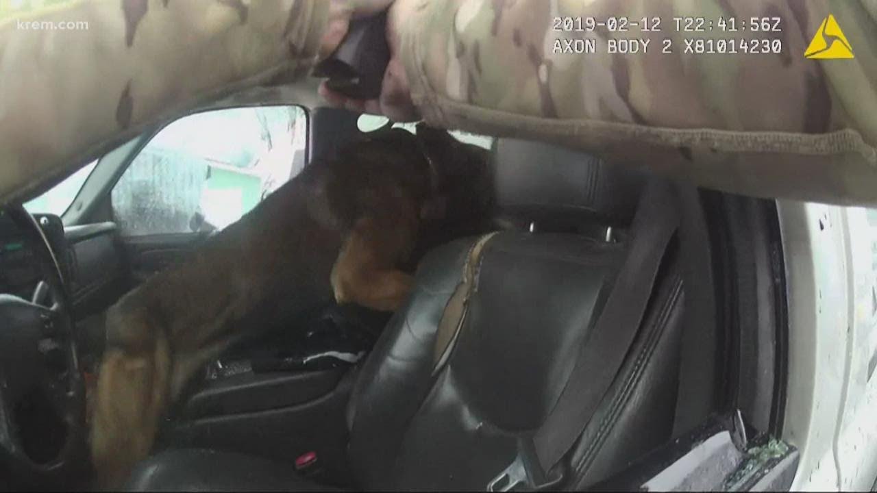 Lawsuit filed in K9 traffic stop from 2019