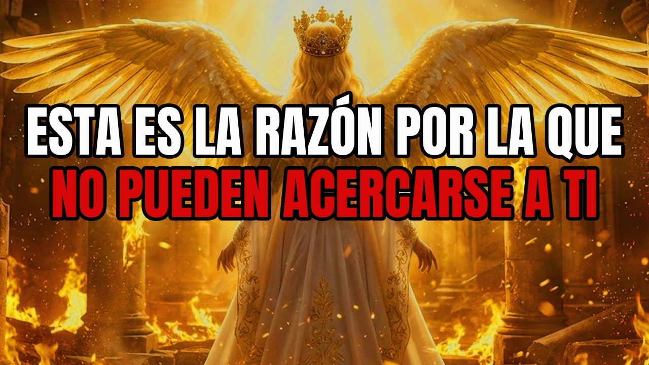 Elegido: Esta es la razón por la que no puedes estar cerca de demasiada gente