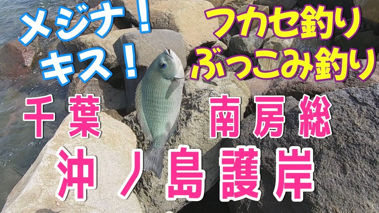千葉館山沖ノ島護岸でフカセ釣りとぶっこみ釣り