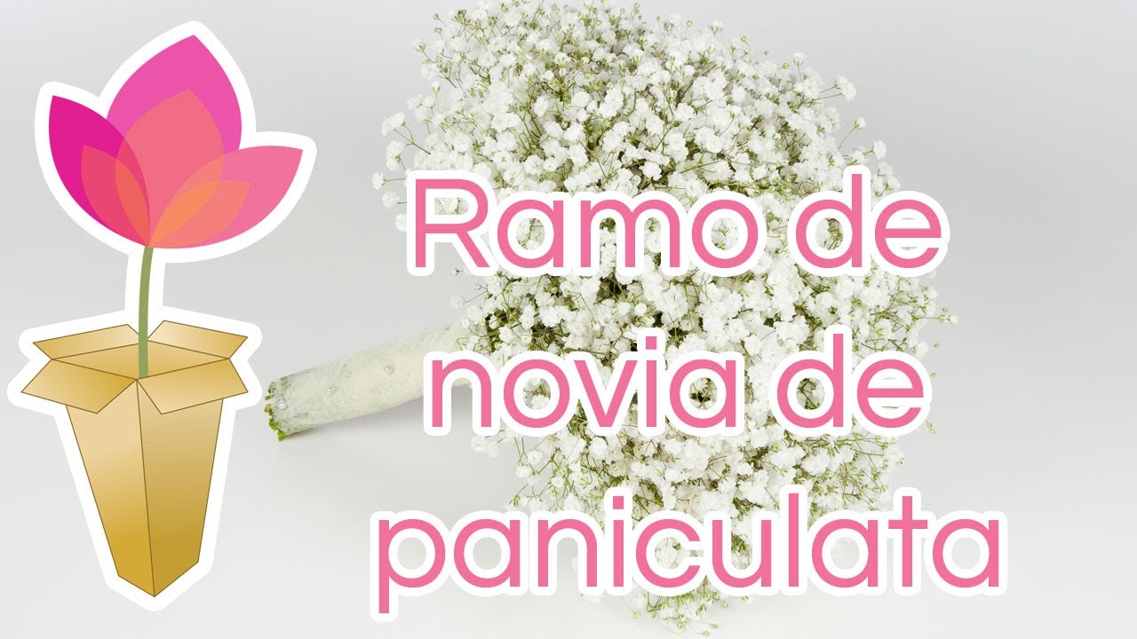 Cómo hacer un ramo de novia de paniculata