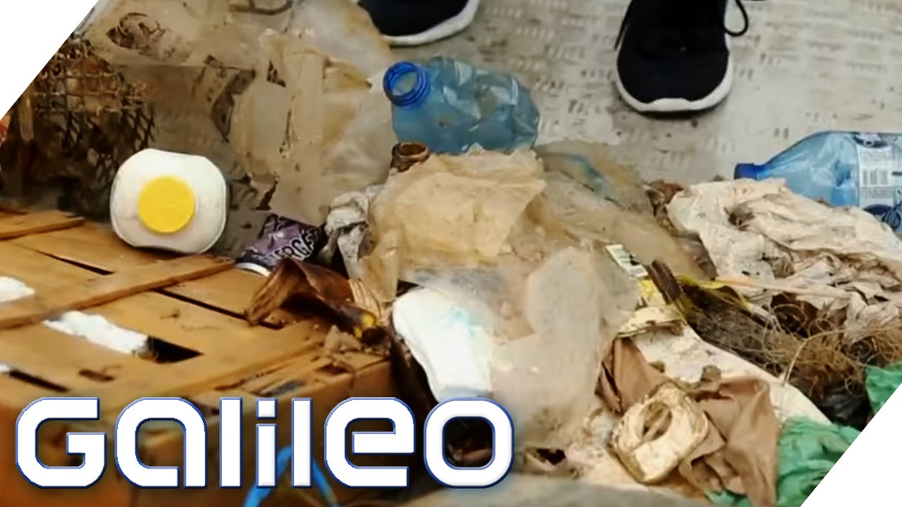 Recycled Fashion: Mode aus Meeresabf&auml;llen | Galileo | ProSieben