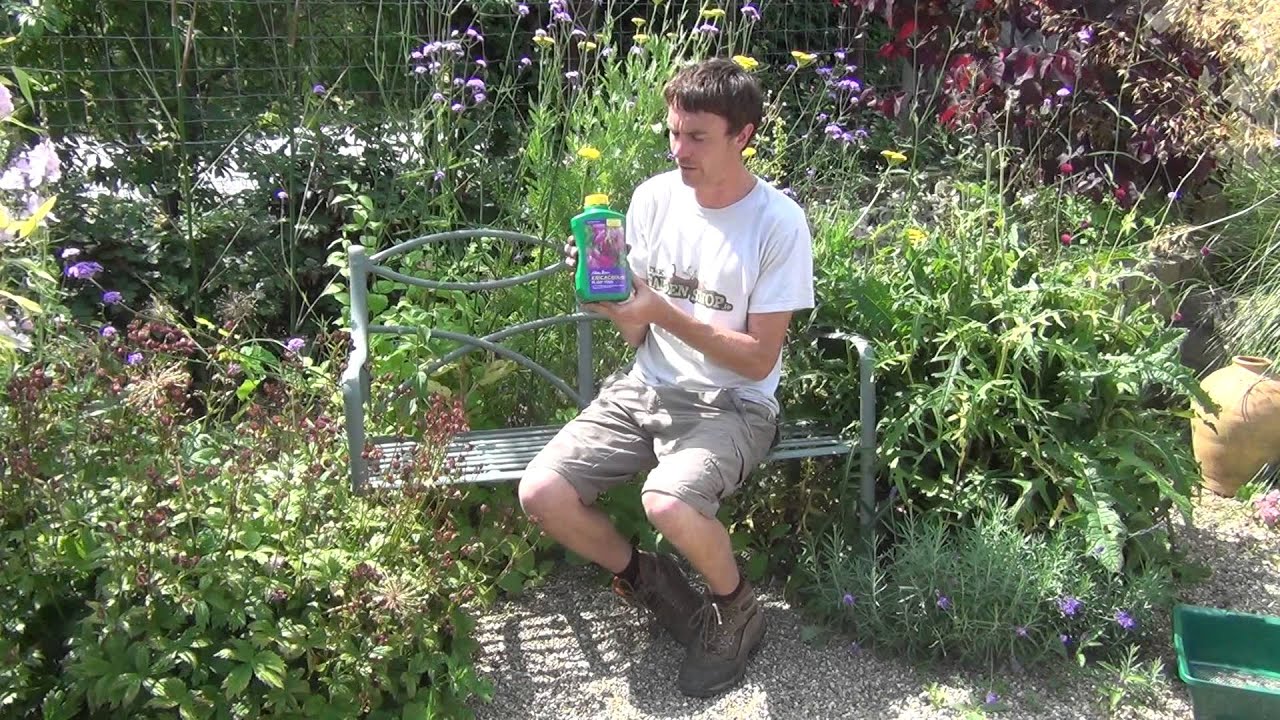 Ericaceous Plant Feed