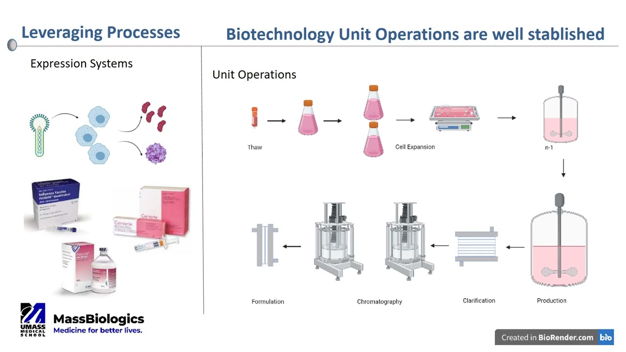 Leveraging Vaccine Manufacturing and Quality Control Platforms for New Modalities