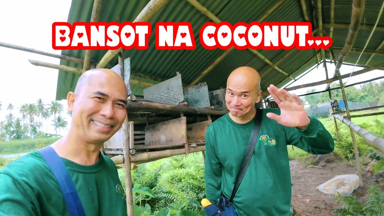 Boss Chief Organic Farm | Inags Nagtanim, Nagharvest at Kumain | Busog at Enjoy sa Bukid...