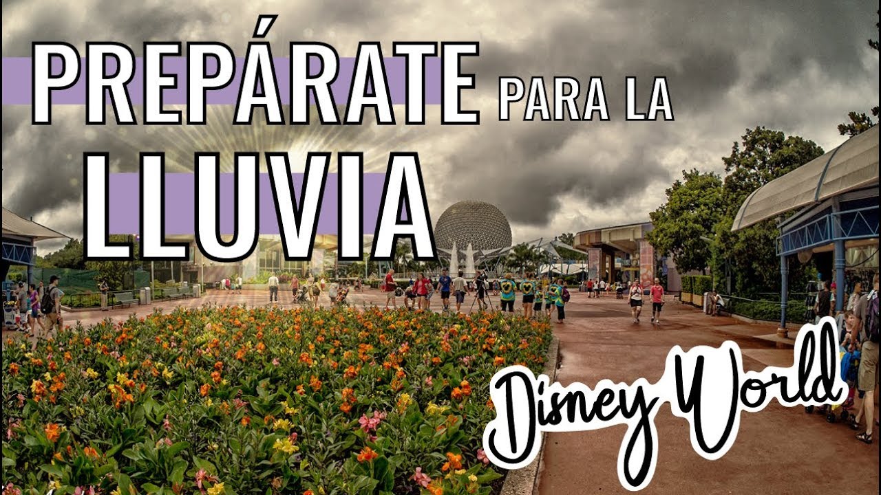 Prepárate para la lluvia en Disney World! / Sácale provecho! / Dani Godinez