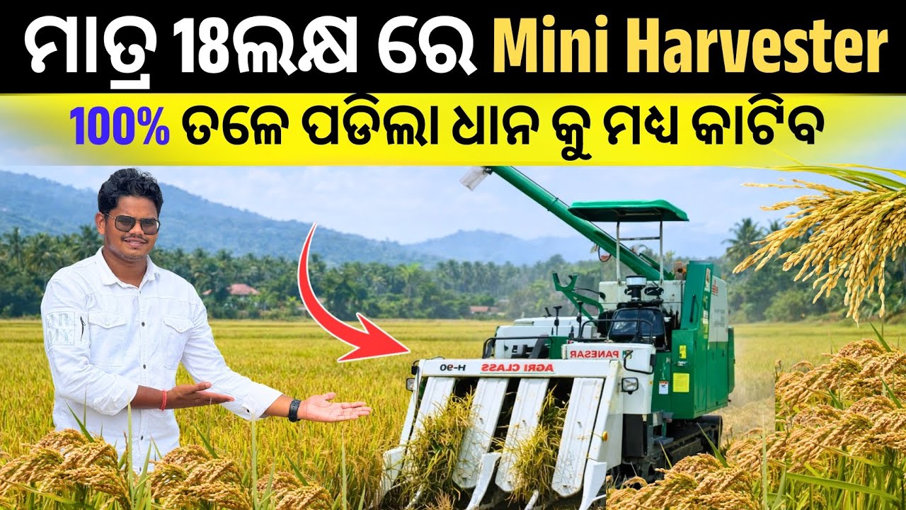 ମାତ୍ର 18 ଲକ୍ଷ ରେ Head feed Harvester / Best Paddy Harvester for Mushroom & Dairy Farmer