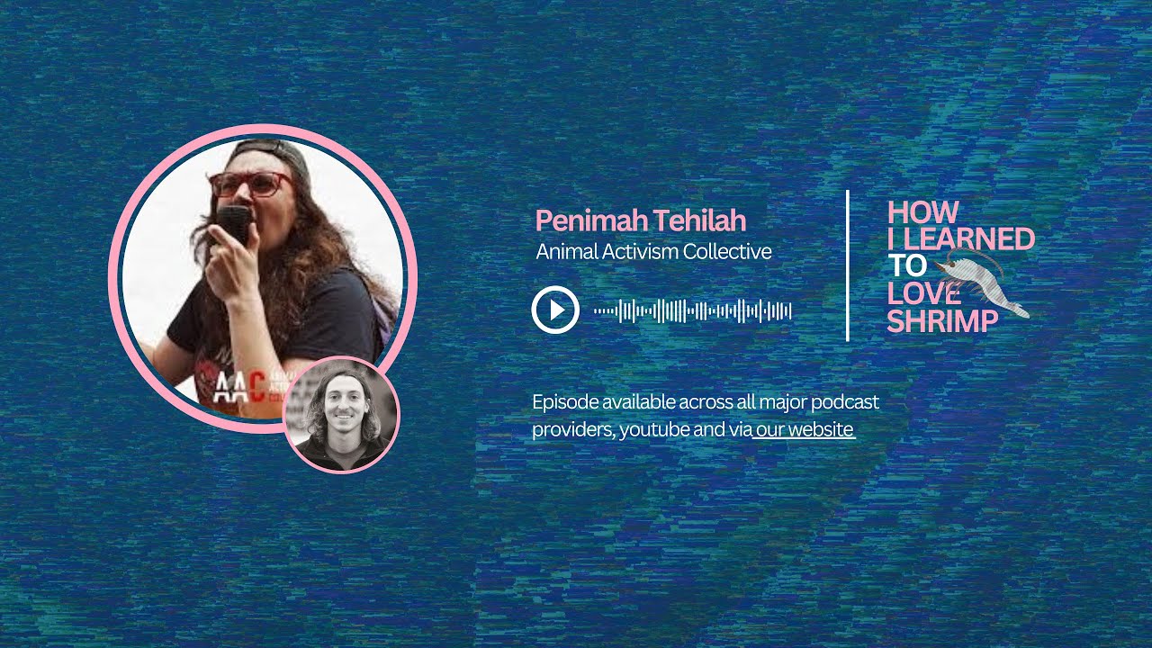 Penny Tehilah on uniting “welfarists” and “abolitionists” through pressure campaigns