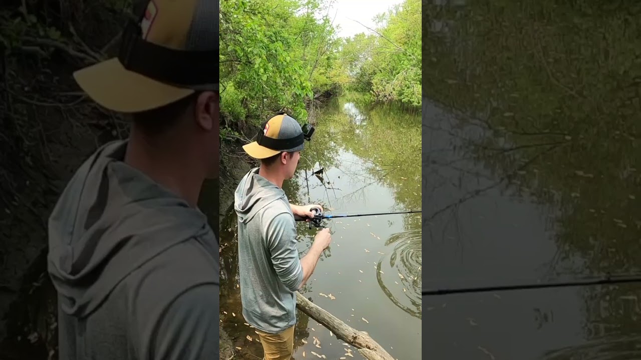 BIGGEST Rock Bass I've EVER CAUGHT!
