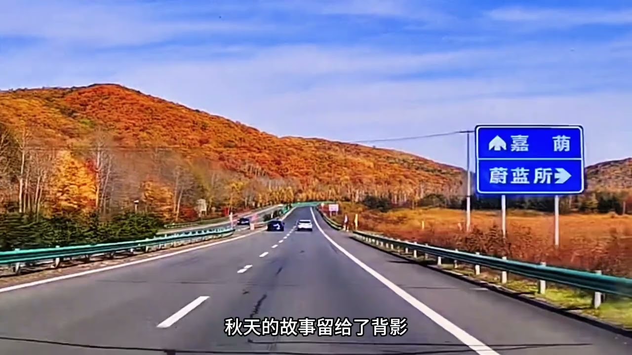 风景在路上，自驾游东北大平原、小兴安岭伊春！ #自驾游旅行 #最美公路风景 #最美的风景在路上 #风景在路上 #伊春