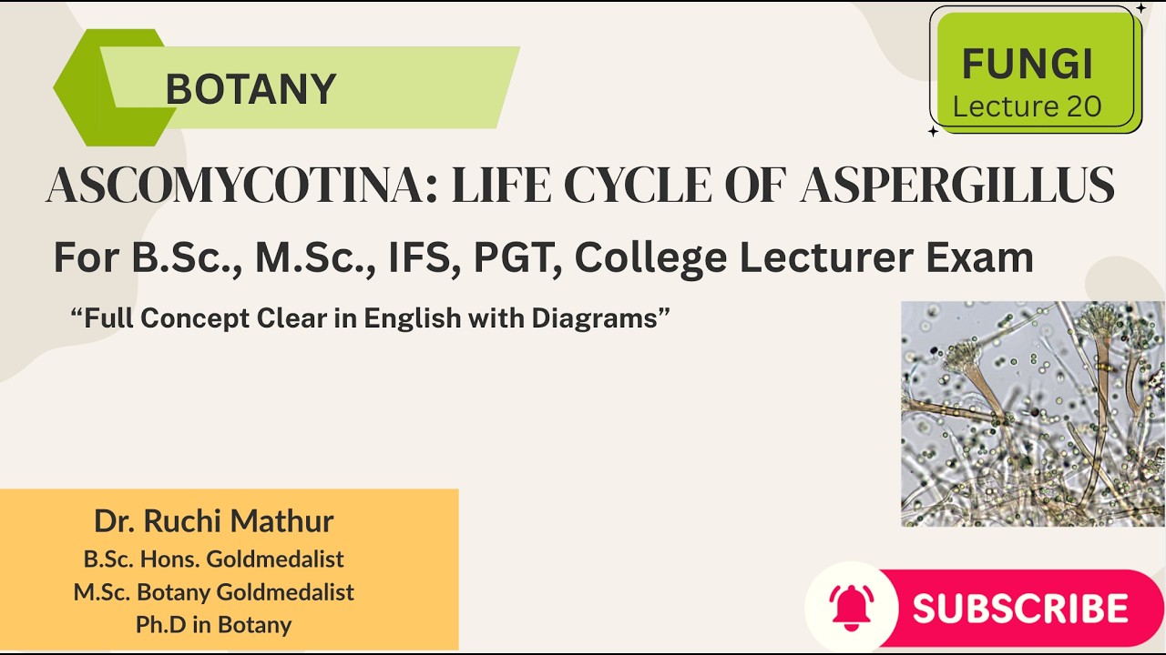 Aspergillus: Structure, Reproduction & Life cycle ||English||