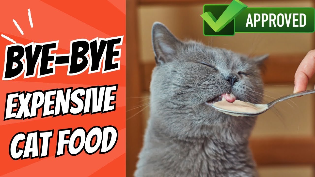 Tasty Homemade Cat Food Recipe, Balanced and Taurine Rich (Don&rsquo;t buy Expensive Cat Food)