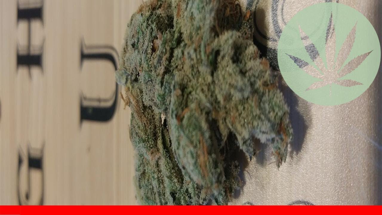 Blucifer - All About This Strain