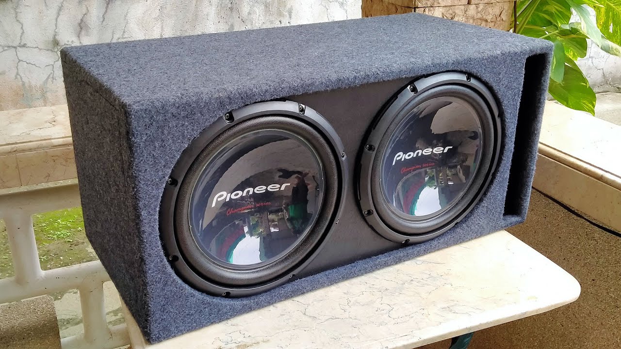 DIY subwoofer box for dual Pioneer TS-W310D4