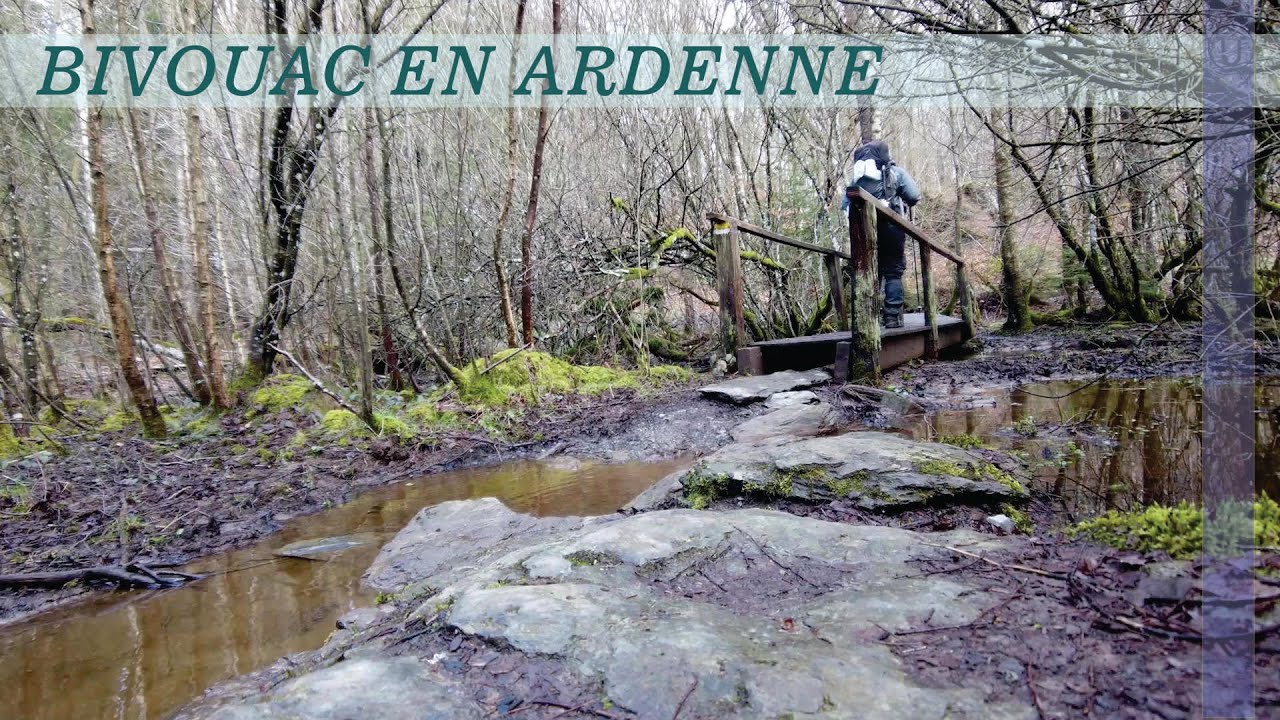 Bivouac au milieu des arbres