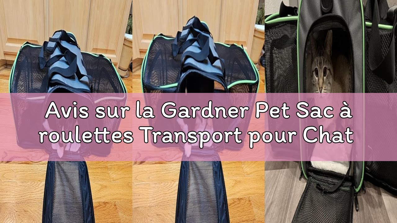 Avis sur la Gardner Pet Sac à roulettes Transport pour Chat Chien Extensible, Grand Caisse de Transp