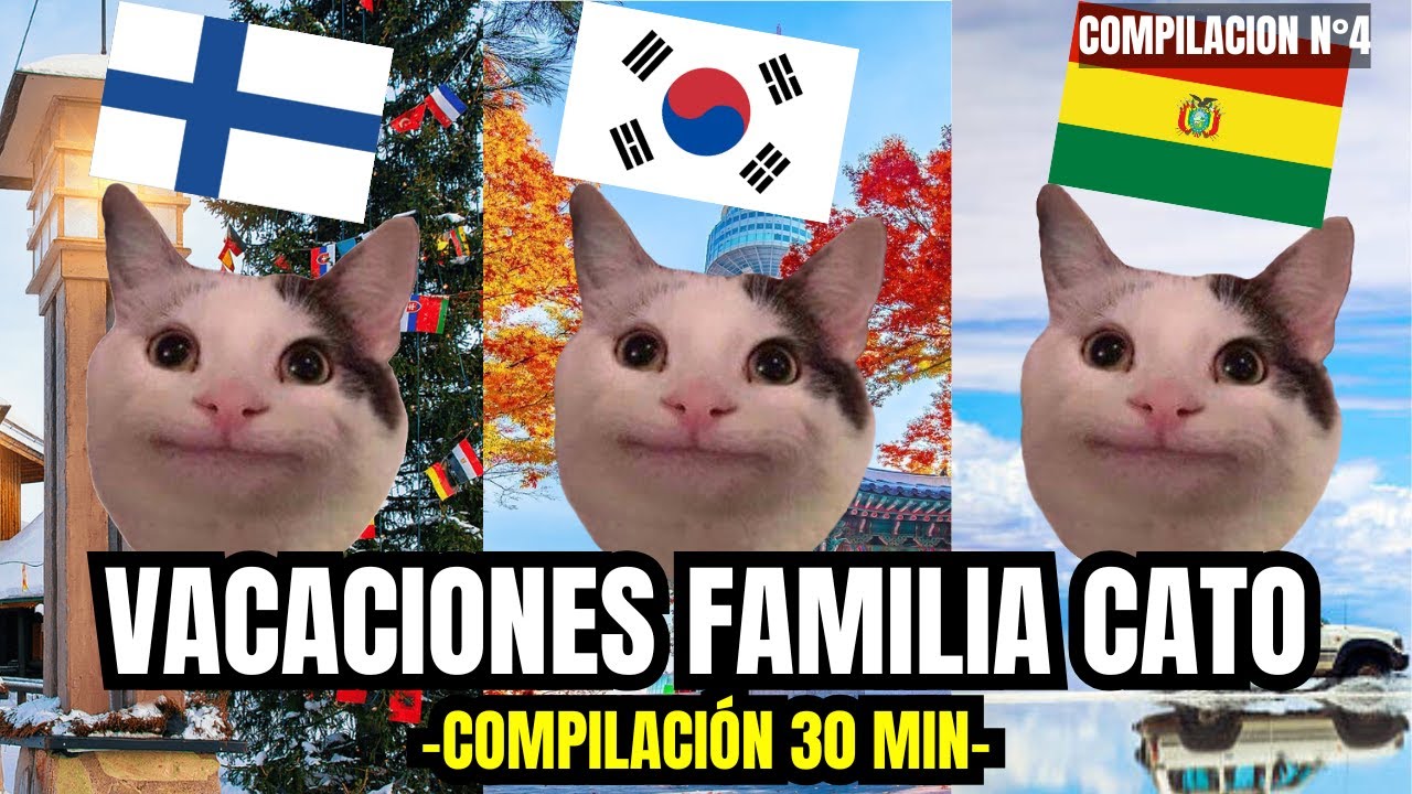 VACACIONES FAMILIA CATO , compilación n°4 de 30 minutos (meme de gatos)