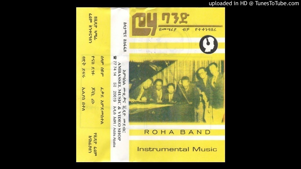 Roha Band &mdash; Instrumental Music track 7