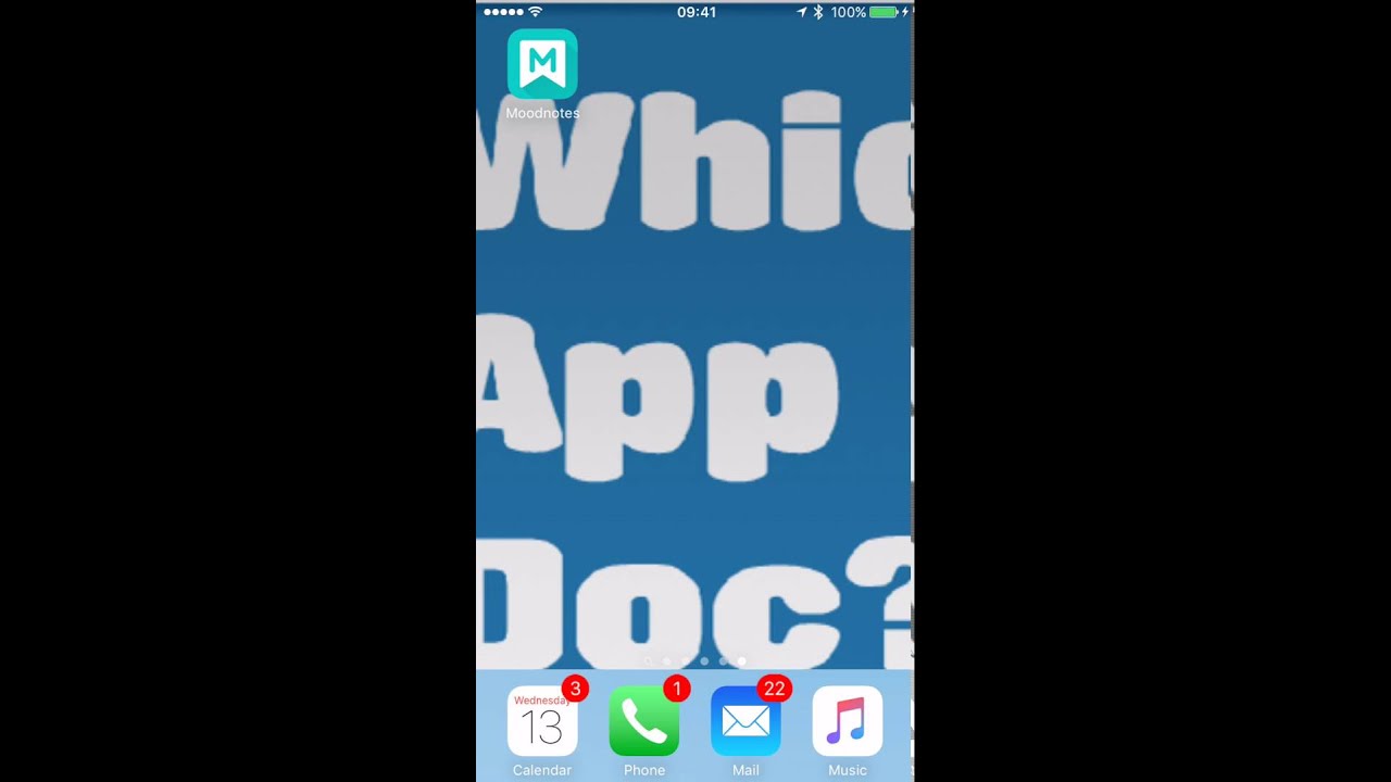 Moodnotes review for Which App Doc?