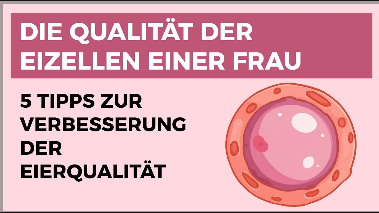 Fünf wichtige Maßnahmen, mit denen Sie die Qualität der Eizellen einer Frau verbessern können: