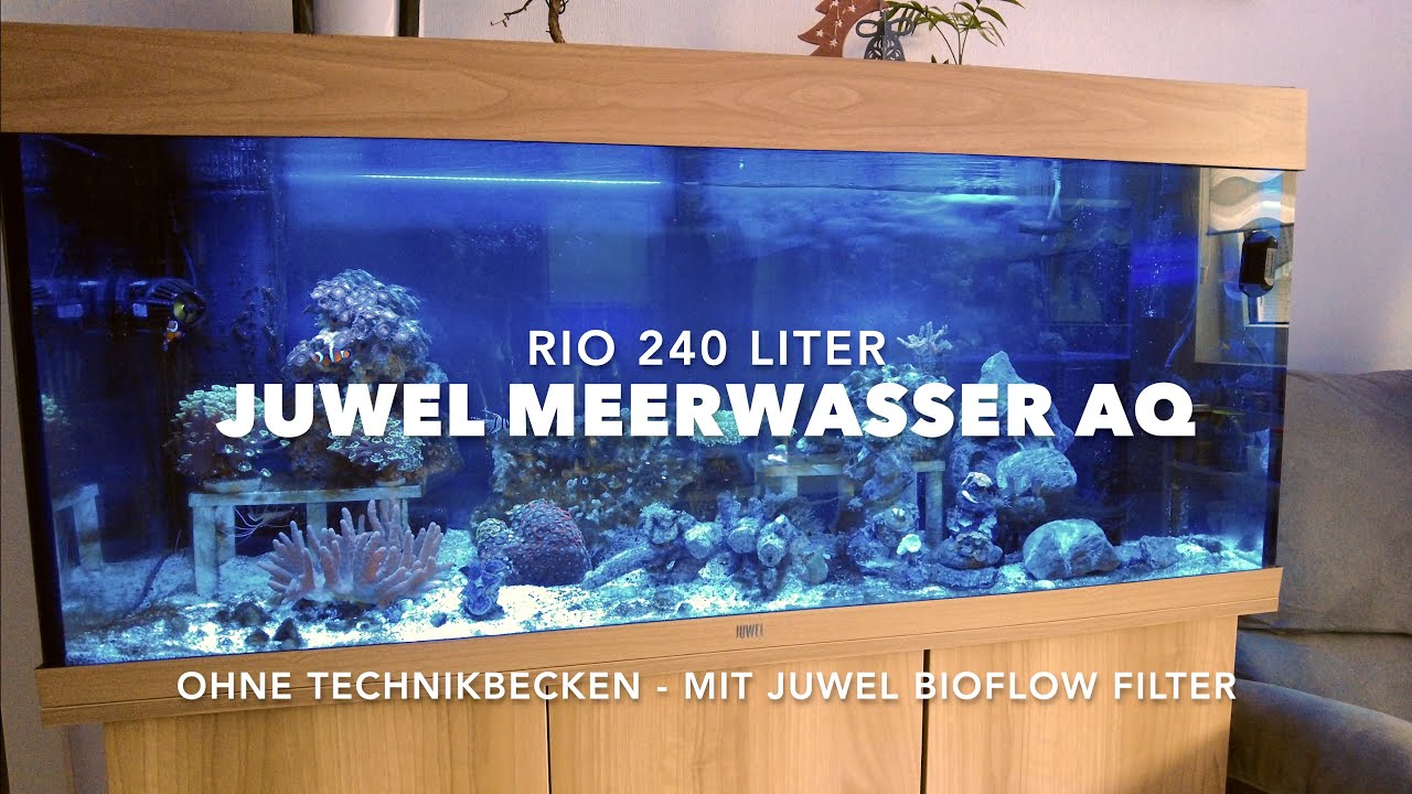 2 Monate Juwel Rio Meerwasser Aquarium mit Bioflow Filter Was ist drin im Filter? Mit Abdeckung