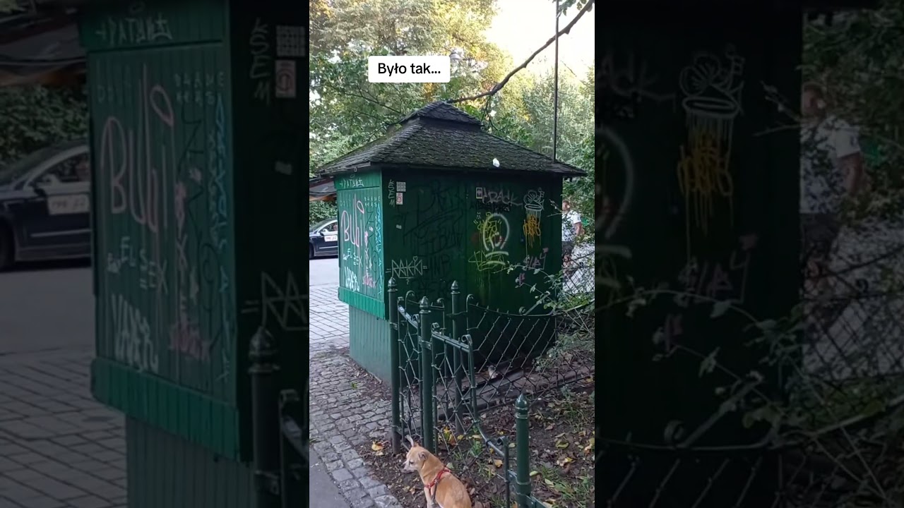 Kiosk zn&oacute;w ożyje. #kiosk#sprzedaż#owoce#park #ulica