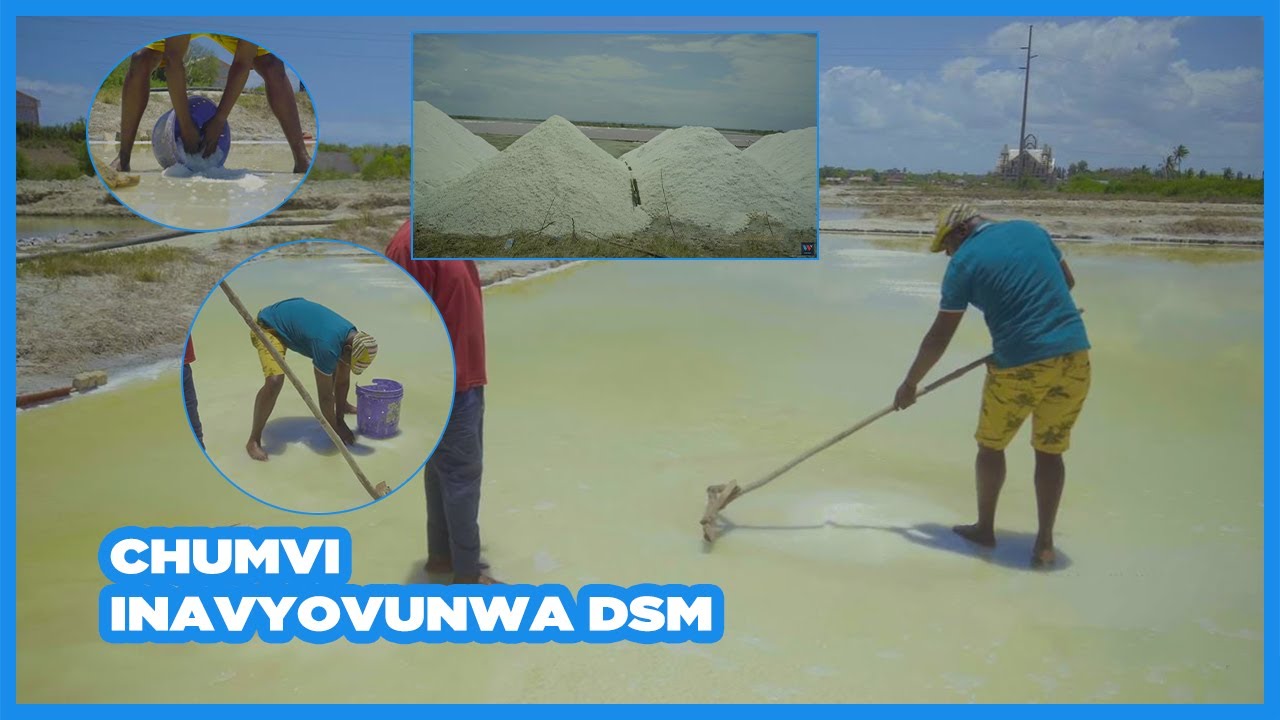 ZEMBWELA AINGIA CHUMVINI, AFUNDISHWA JINSI CHUMVI INAVYOTENGENEZWA HADI KUVUNWA - MSWAHILI