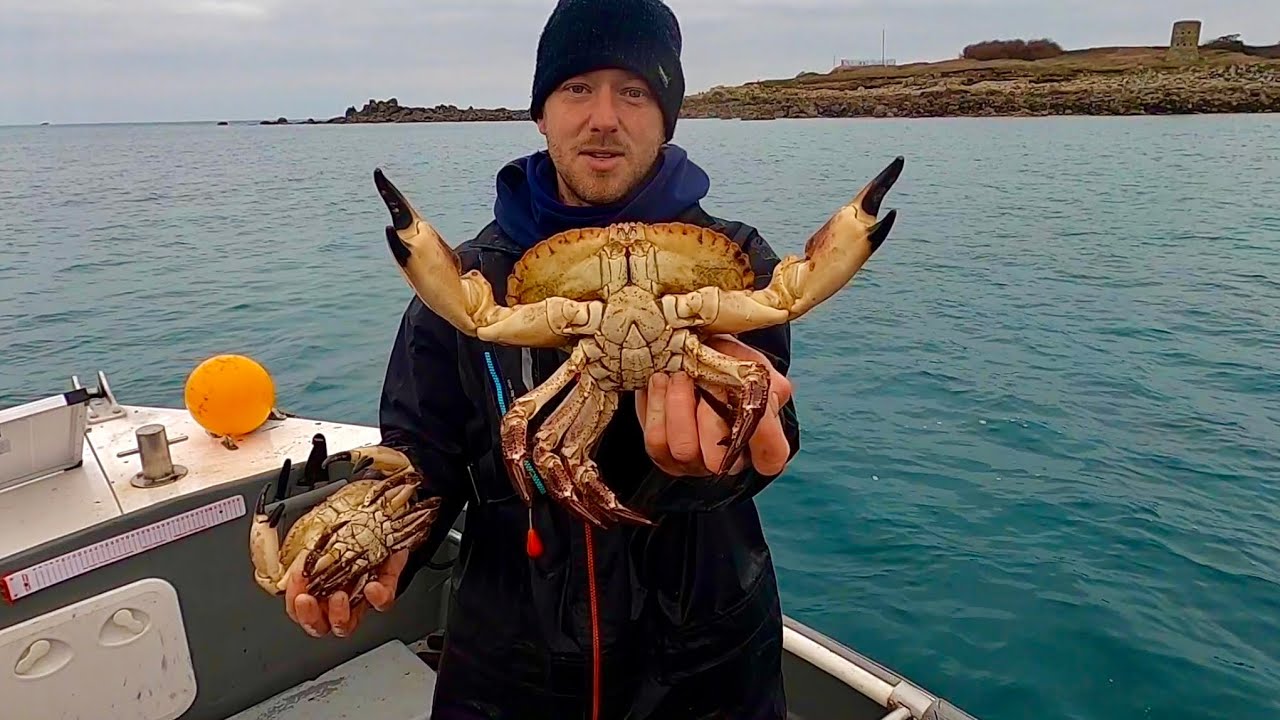 LOBSTER & GIANT CRAB Fried Rice - Lobster & Crab Fishing