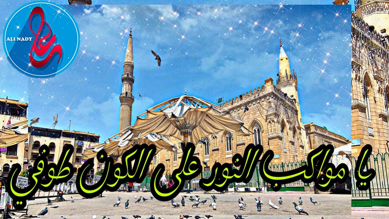 يا مواكب النور على الكون طوفي | دندنة بسيطة مع الشباب😍