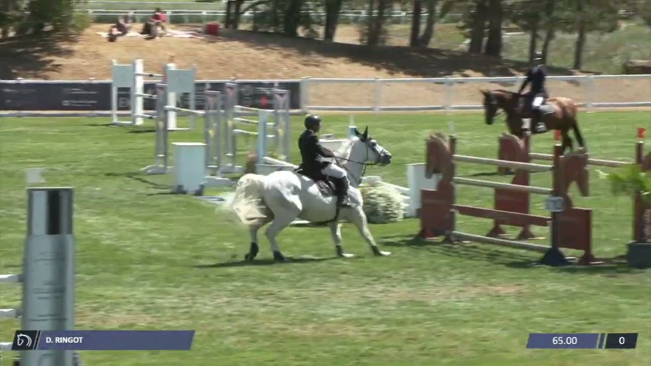 Hourra de Reville (PRESIDENT x Accord II) et Dylan Ringot - 3e 1m45 Grand National Le Touquet