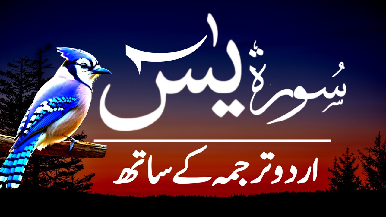 Surah Yaseen (Surat) Beautiful Tilawat With Urdu Hindi Translation | Mind Refreshing سورة يس