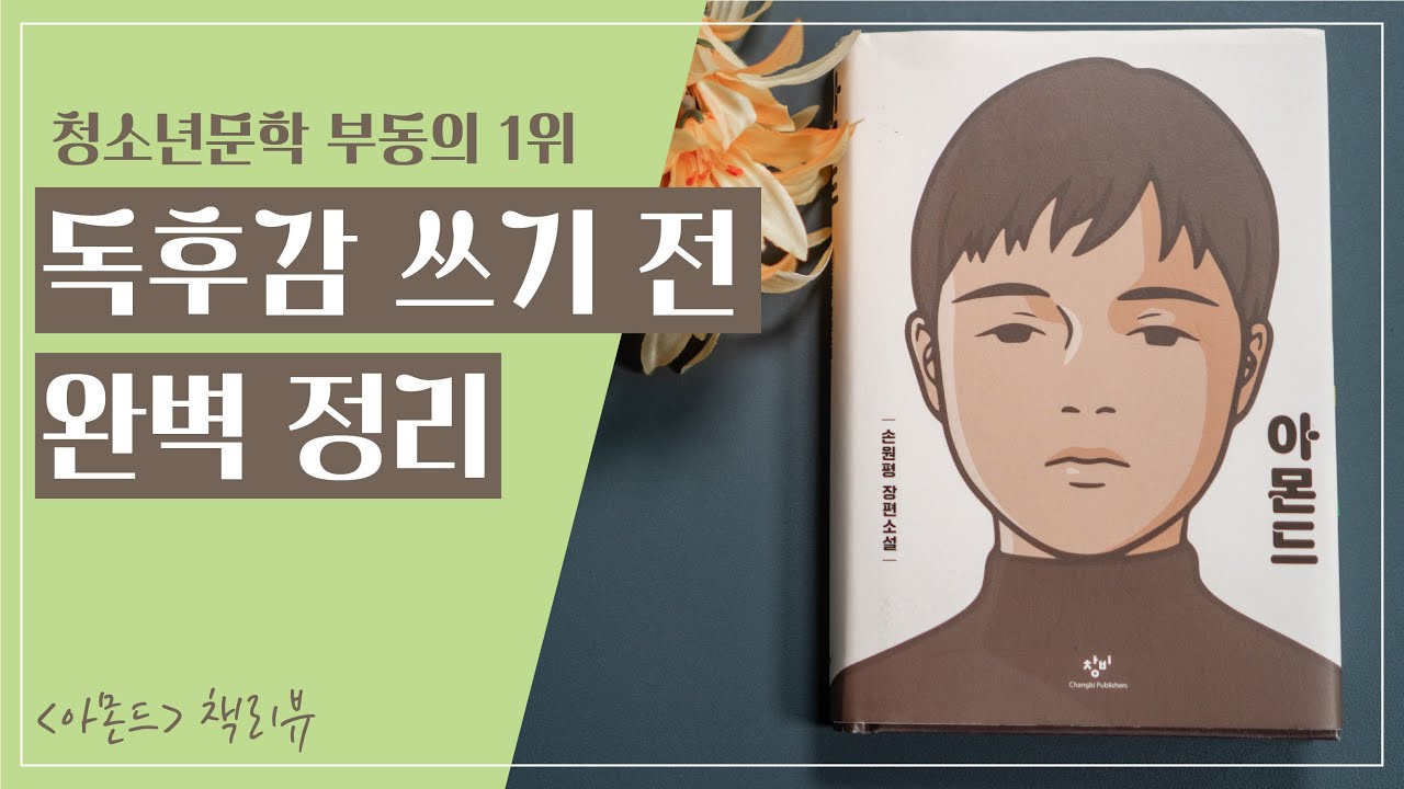 아몬드 책리뷰 - 독후감 쓰기 전 완벽 정리! 자세한 줄거리와 생각해 볼 거리들