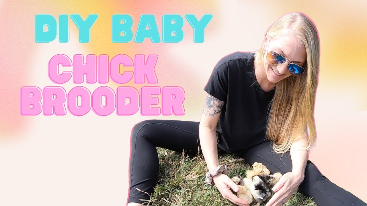 DIY Baby Chick Brooder