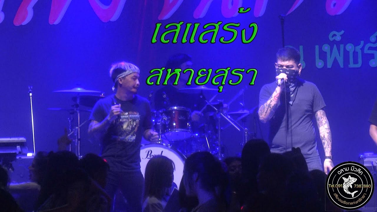 เสแสร้ง-สหายสุรา ฉลามขายเพชรบุรี