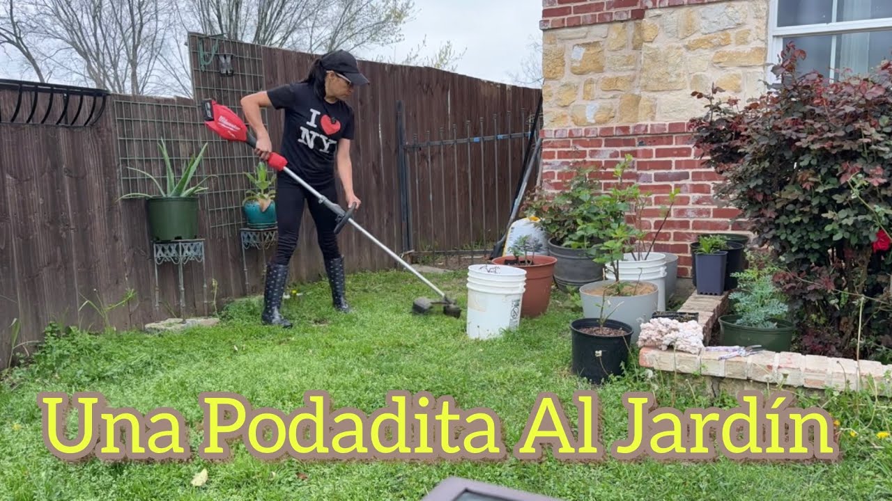 Vamos a Podar y Arreglar el Jardín  🌱🪻