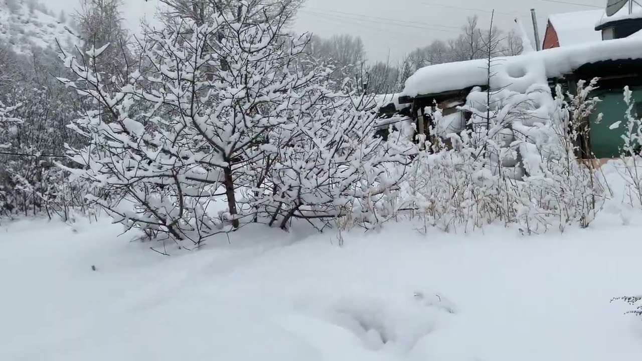 Нас заметает снегом, конец января #жизньвчастномдоме #зима 