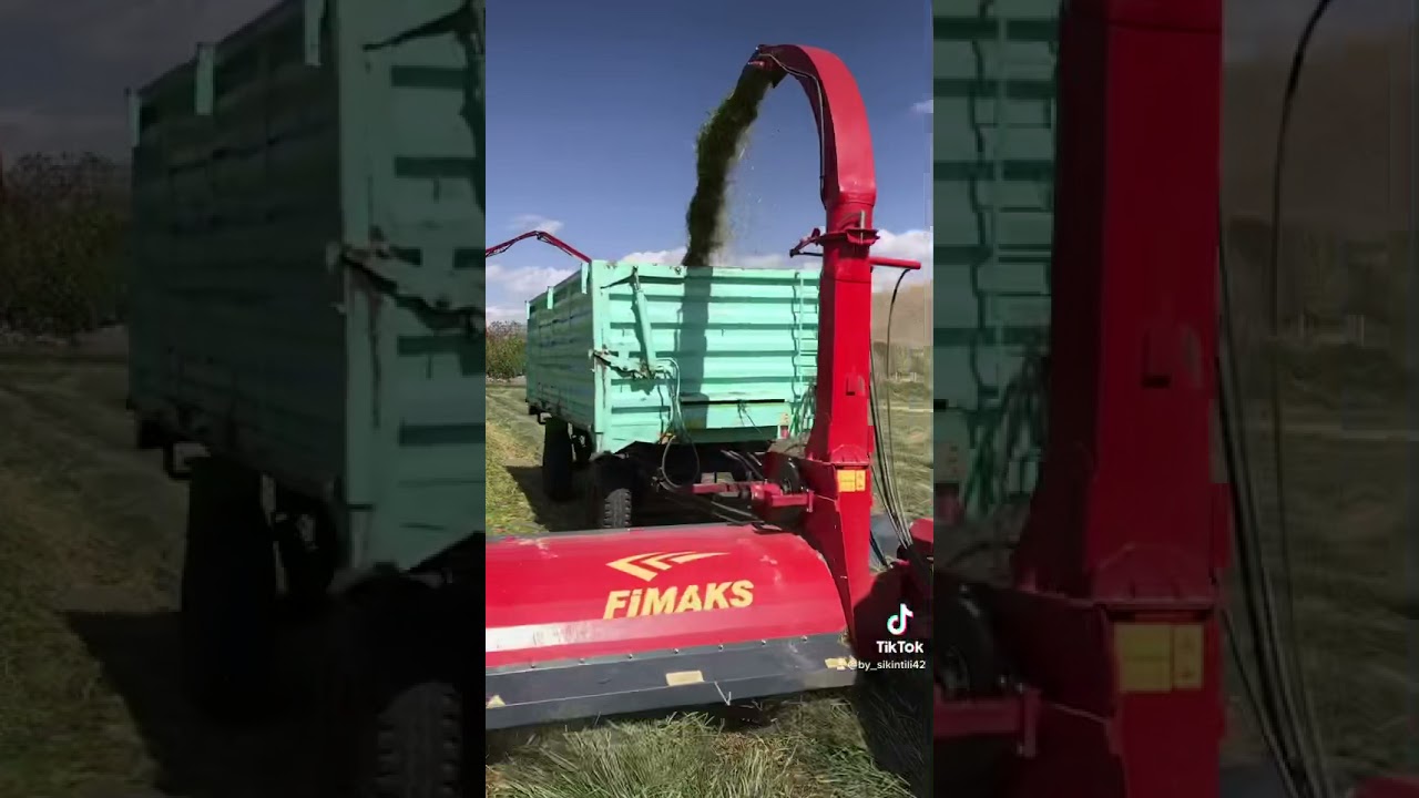 Ot silajı new Holland td 90