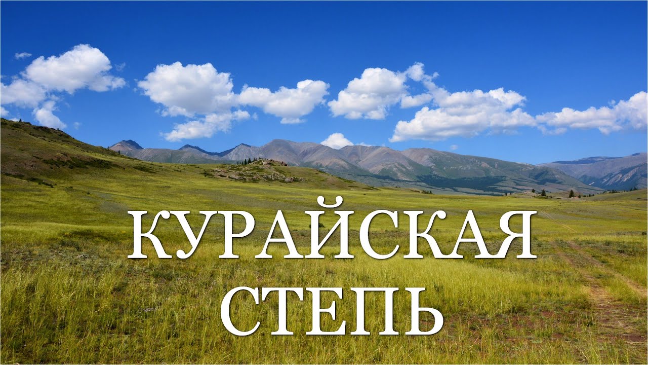 Курайская степь. Алтай летом