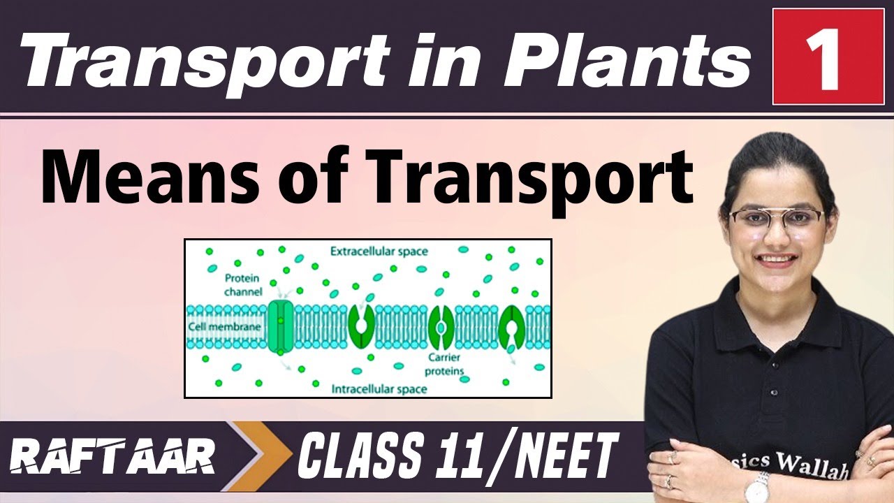 Transport in Plants 01 || Means of Transport || Class11/NEET