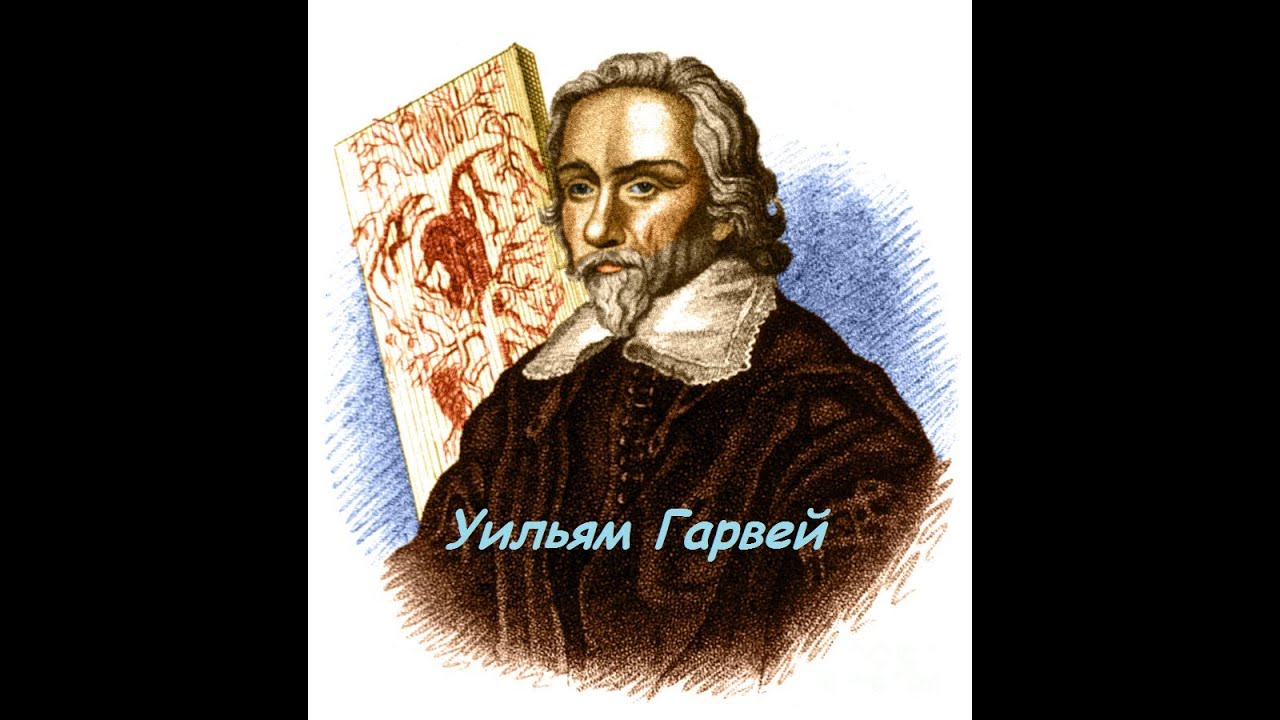 Уильям Гарвей