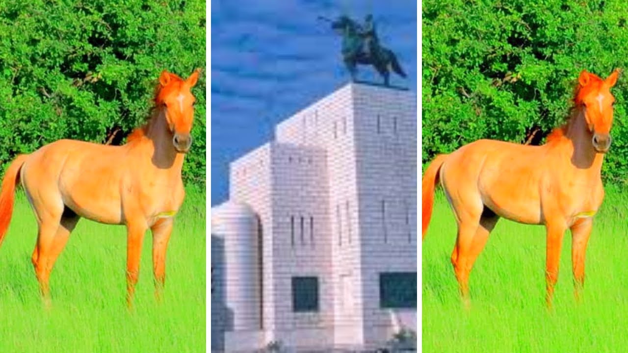 Malaa saacadii baa dhow oo suurkii la afuuf 