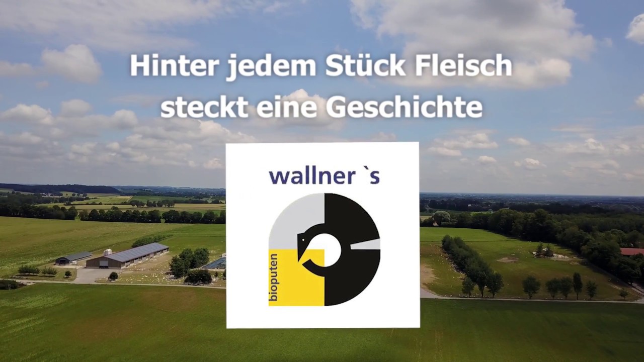 Wallners Bioputen Kurzfilm