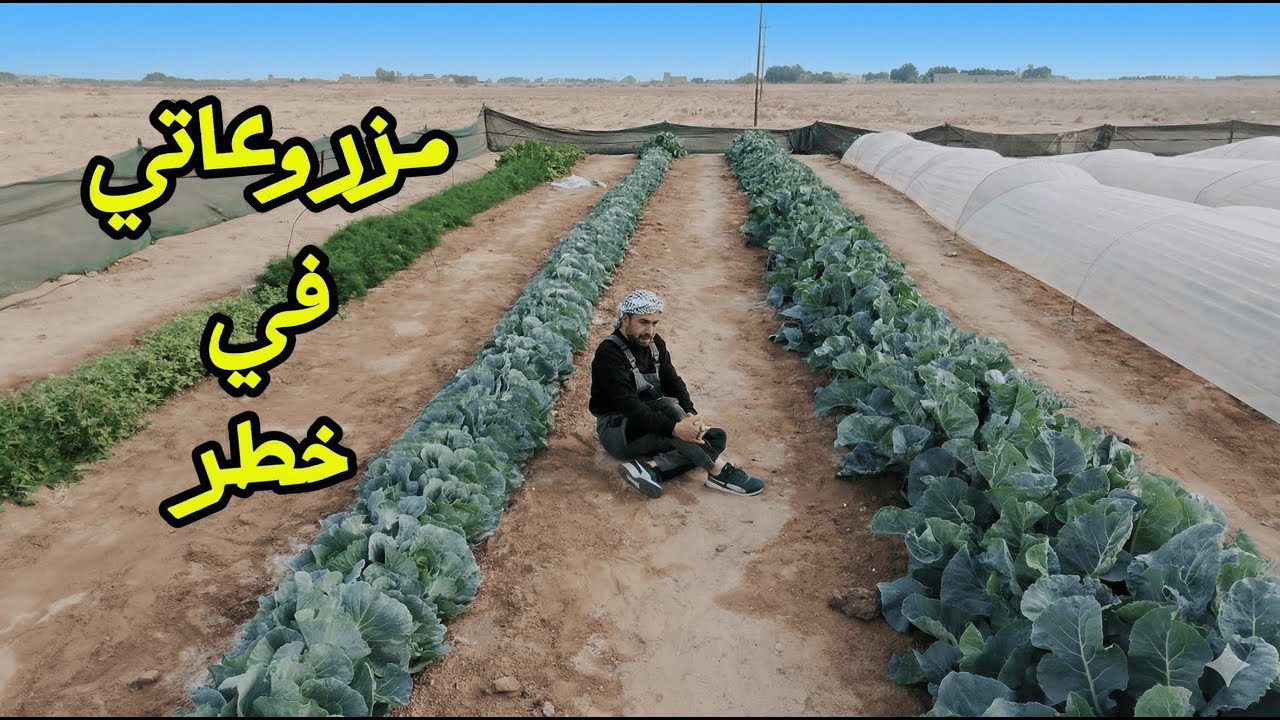 زرعنا في خطر اذا لم نتحرك بسرعة و نحميه و تحذير مهم في نهاية الفيديو