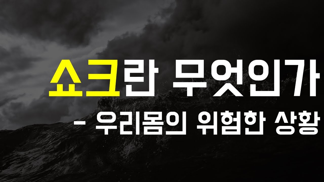 SHOCK-01 쇼크란 무엇인가