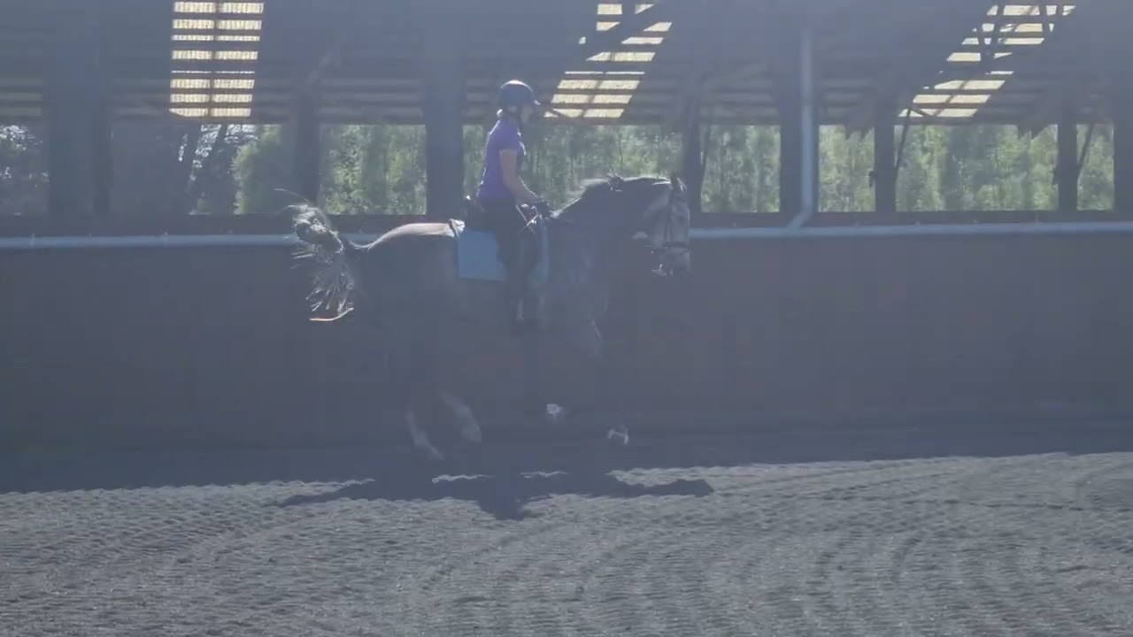 Fletcher 23 Feb jump arena