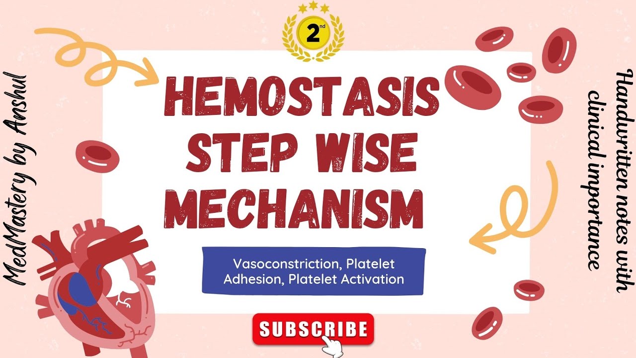 🔥"Stepwise Mechanism of Hemostasis | Platelet Adhesion & Activation | Clinical importance"🩺